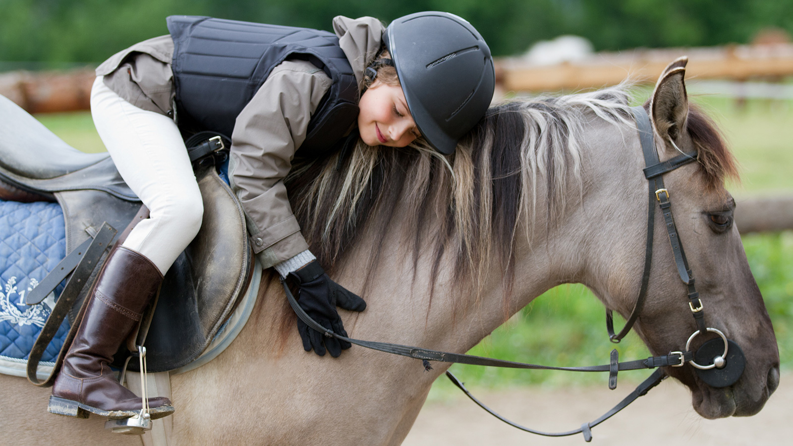 Reitstall in Reischach